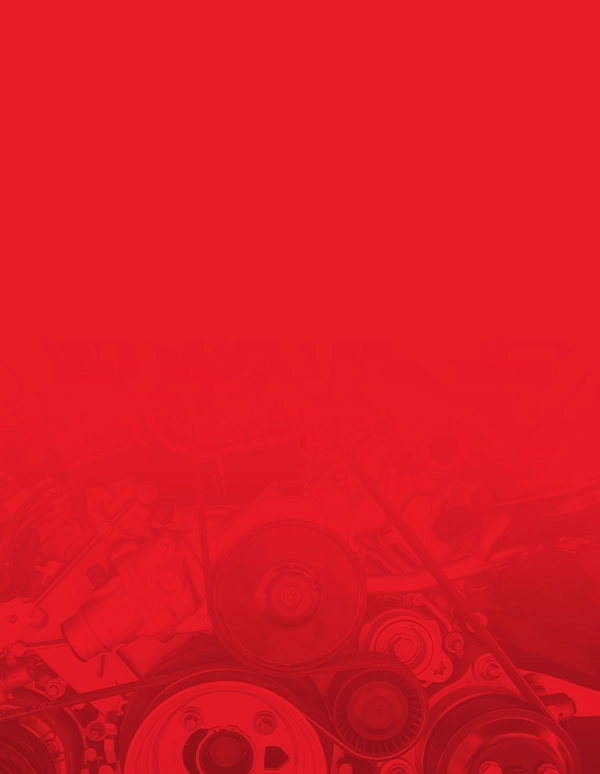 서비스 특징 배경